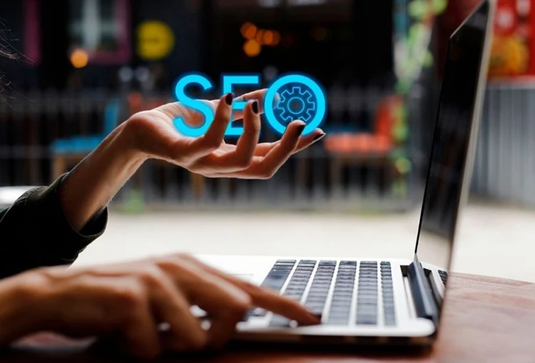 Pamukova Web Site Tasarımcı